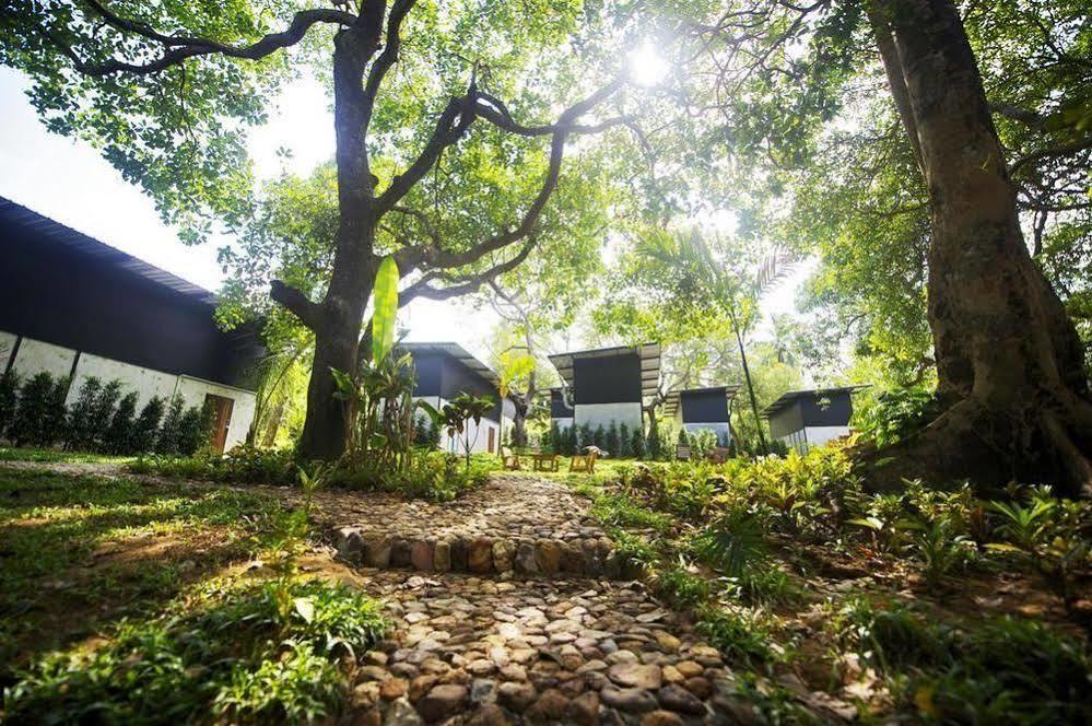 Himmapan Resort Koh Phayam Exterior photo